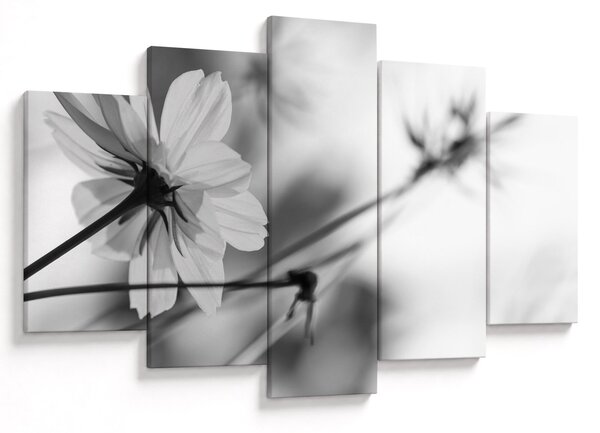 Tablou - Flori alb-negru (150x105 cm)