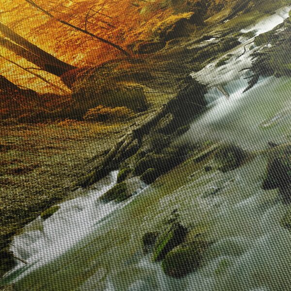 Tablou - Pădure (90x60 cm)