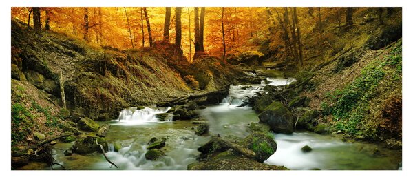 Tablou - Pădure (120x50 cm)