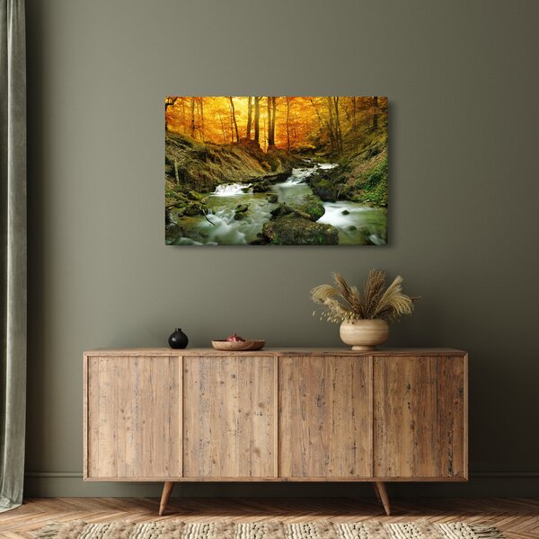 Tablou - Pădure (90x60 cm)