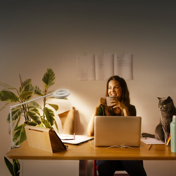 LEDVANCE SMART+ SUN@Home Panan Desk Disc, clemă, alb, reglabil, Alb, Studiu / Birou, Metal, Modern