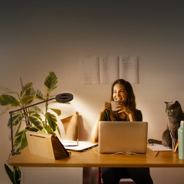 LEDVANCE SMART+ SUN@Home Panan Desk Disc, clemă, negru, reglabil, Negru, Studiu / Birou, Metal, Modern