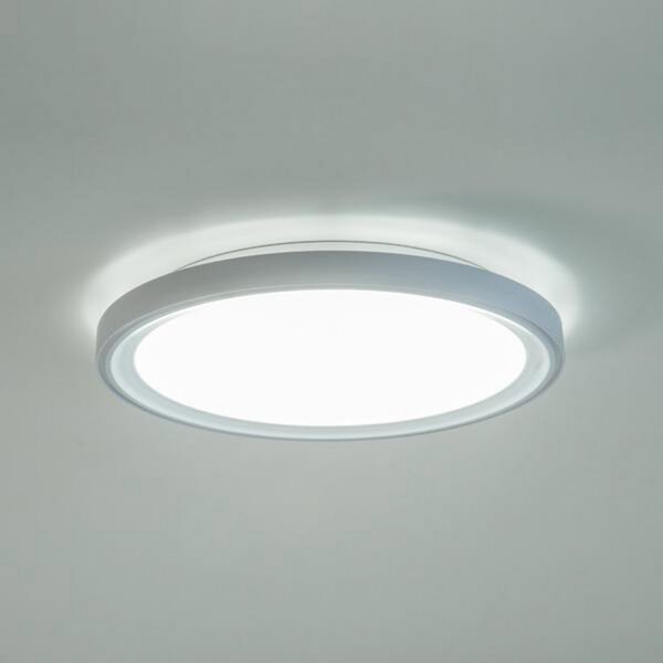 BRUMBERG Sunny Mini LED plafonieră cu LED-uri RC CCT alb, reglabil, Alb, Camera de zi / sufragerie, Aluminiu