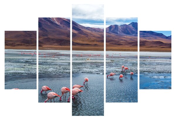 Tablou - Flamingo (150x105 cm)