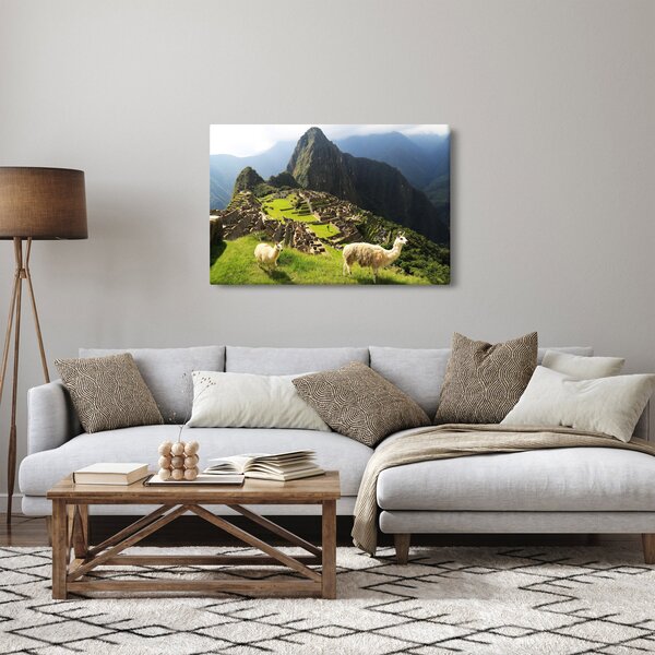 Tablou - Lame in Machu Picchu (90x60 cm)
