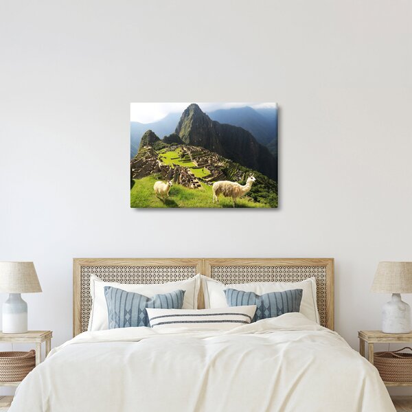 Tablou - Lame in Machu Picchu (70x50 cm)
