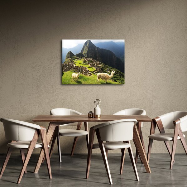 Tablou - Lame in Machu Picchu (70x50 cm)