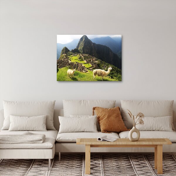 Tablou - Lame in Machu Picchu (70x50 cm)