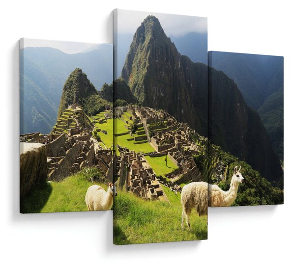 Tablou - Lame in Machu Picchu (90x60 cm)
