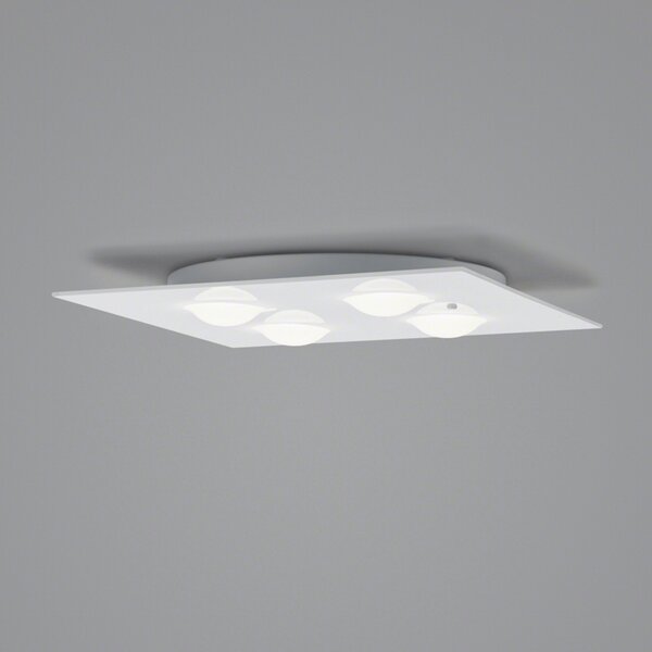 Helestra Nomi plafonieră LED 38x38 cm dim alb, reglabil, Alb, Camera de zi / sufragerie, Metal, Modern, Plafon cu flacără multiplă