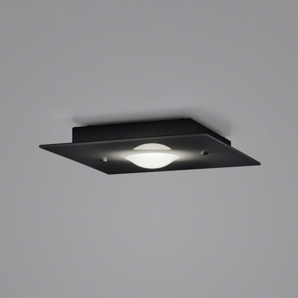 Helestra Nomi plafonieră LED 23x23cm dim negru, reglabil, Negru, Camera de zi / sufragerie, Metal, Modern