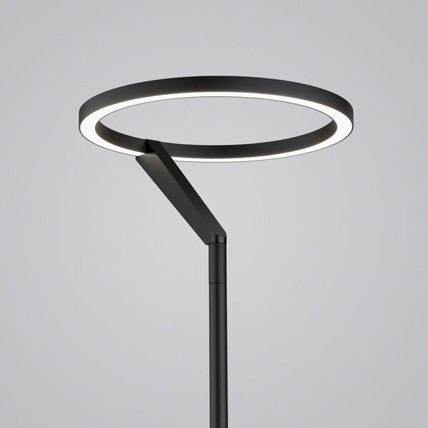 Helestra Elara lampadar LED down dimabilă negru, reglabil, Negru, Camera de zi / sufragerie, Aluminiu, Modern
