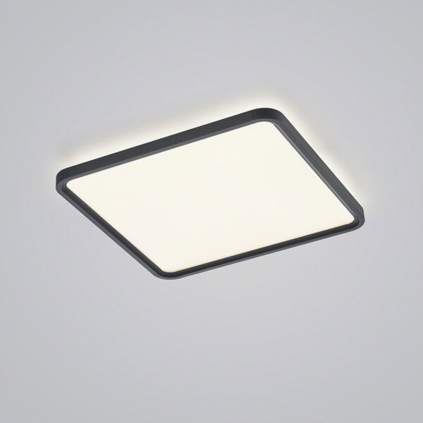 Helestra Vesp panou LED backlight 61x61cm negru, reglabil, Negru, Camera de zi / sufragerie, Aluminiu, Modern