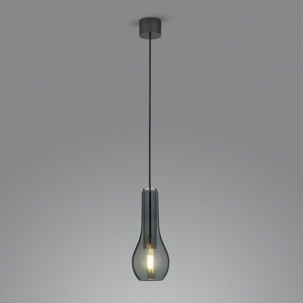 Helestra Gara lampă suspendată abajur sticlă fumurie, 1 bec, reglabil, Negru, Camera de zi / sufragerie, Aluminiu, Modern
