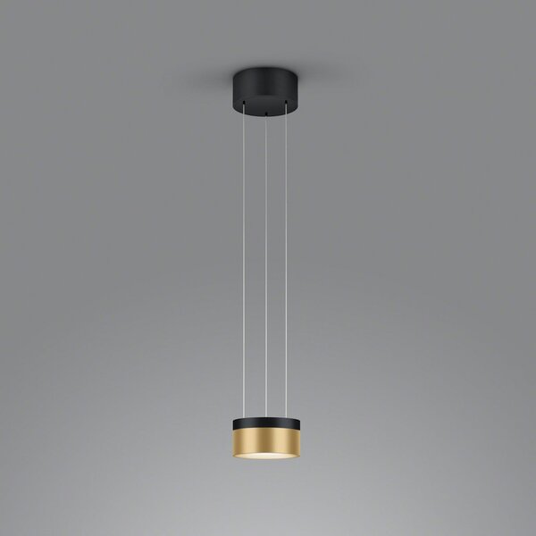 Helestra Oda lampă suspendată LED negru/auriu, reglabil, Negru, Camera de zi / sufragerie, Aluminiu, Modern