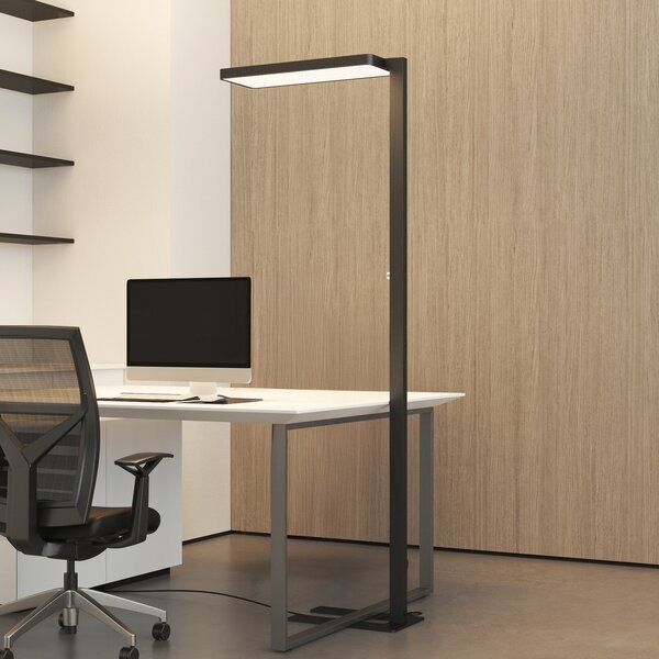Arcchio Lampadar LED Timon, 54W, negru, înălțime 195 cm, reglabil, Negru, Studiu / Birou, Aluminiu, Modern, Umbrelă în picioare