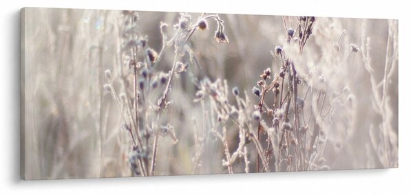 Tablou - Plante (120x50 cm)