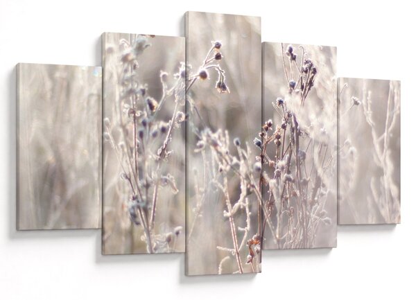 Tablou - Plante (150x105 cm)