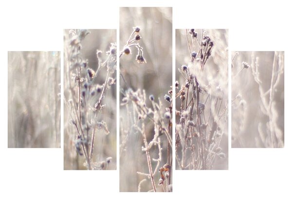 Tablou - Plante (150x105 cm)