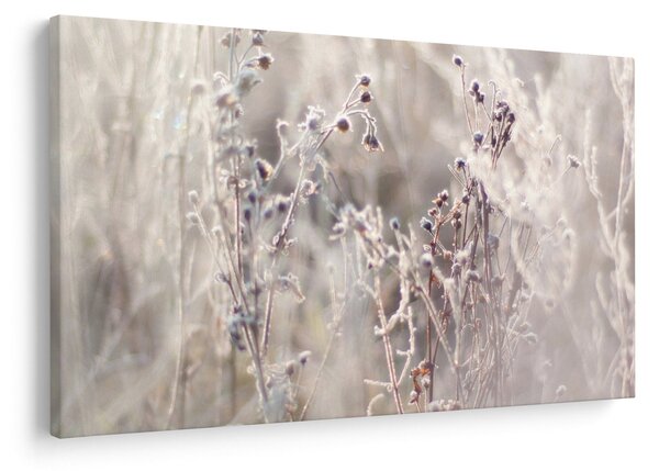 Tablou - Plante (90x60 cm)