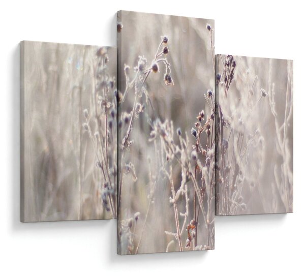 Tablou - Plante (90x60 cm)