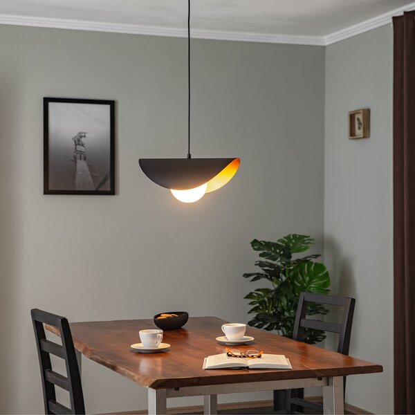 Opviq Lampă suspendată Vatoz 2866 1 bec, negru, sticlă opală, reglabil, Negru, Camera de zi / sufragerie, Metal, Modern, glob