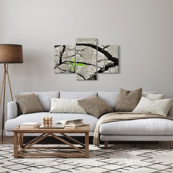 Tablou - Fisuri (90x60 cm)