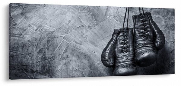 Tablou - Mănuși de box (120x50 cm)