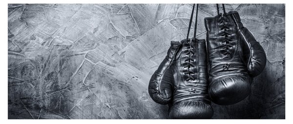Tablou - Mănuși de box (120x50 cm)