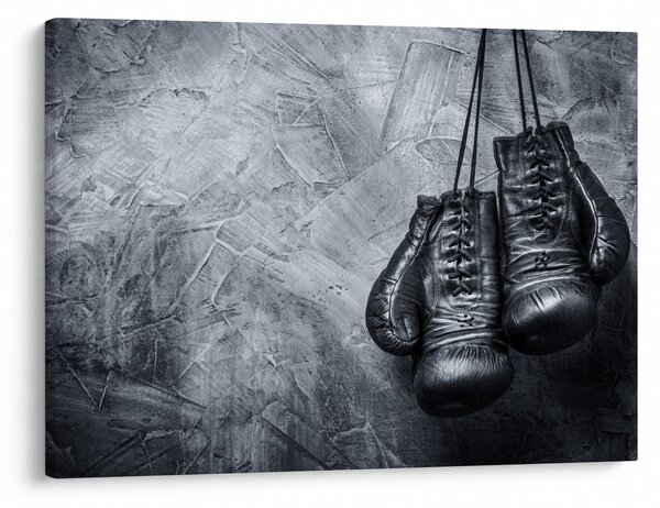 Tablou - Mănuși de box (70x50 cm)