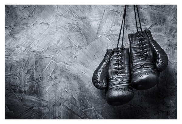 Tablou - Mănuși de box (90x60 cm)