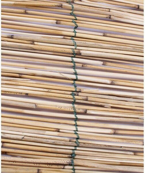 Panou de gard tip paravan din stuf 300 x 150 cm