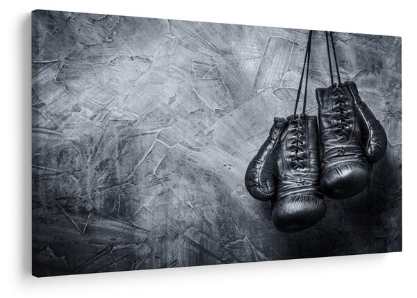 Tablou - Mănuși de box (90x60 cm)