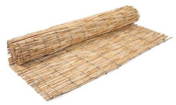 Panou de gard tip paravan din stuf 300 x 150 cm