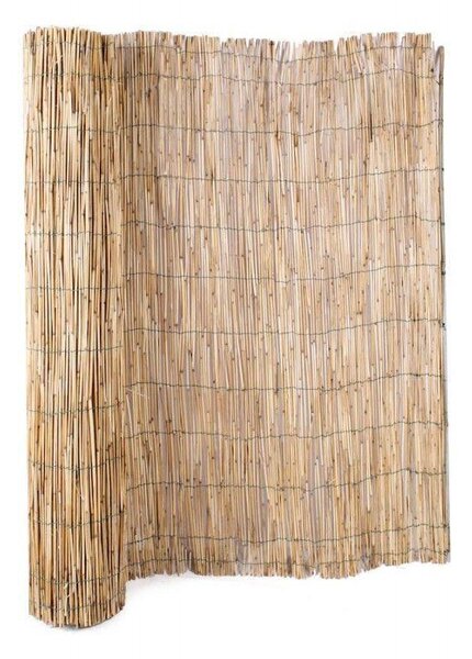 Panou de gard tip paravan din stuf 300 x 150 cm