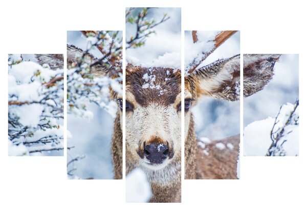 Tablou - Cerbul catâr (150x105 cm)