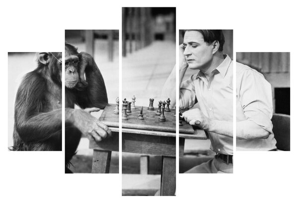 Tablou - Circ 2 (150x105 cm)