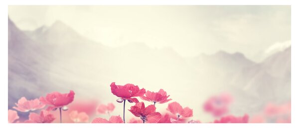 Tablou - Maci (120x50 cm)