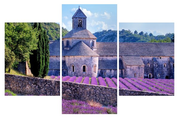 Tablou - Câmp de lavandă (90x60 cm)