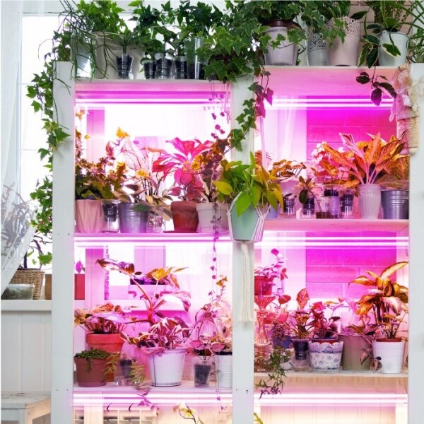 Corp de iluminat LED pentru corpuri de bucătărie pentru creșterea plantelor 2xLED/8,5W/230V alb
