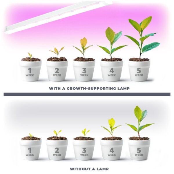 Corp de iluminat LED pentru corpuri de bucătărie pentru creșterea plantelor 2xLED/8,5W/230V alb