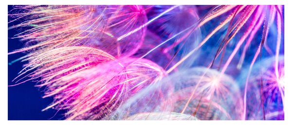 Tablou - Macro (120x50 cm)