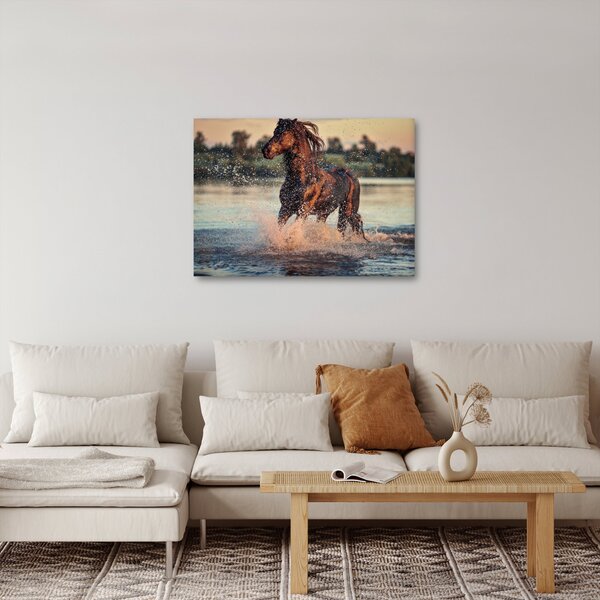 Tablou - Cal care aleargă (70x50 cm)