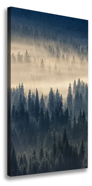 Print pe pânză Ceață peste pădure