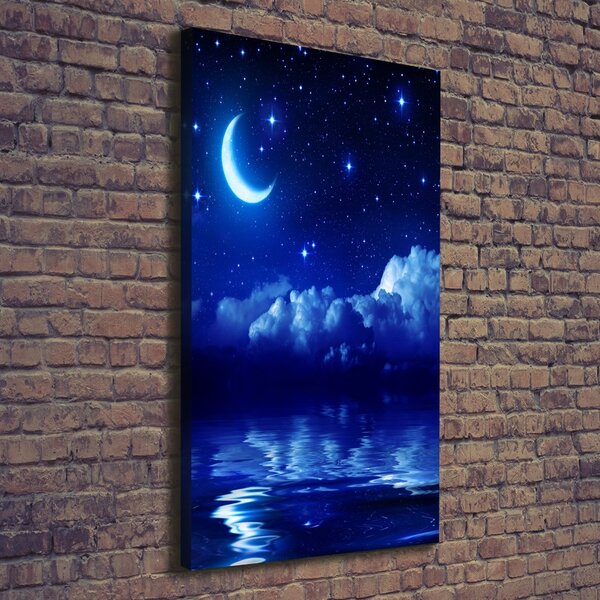 Tablou pe pânză canvas Cerul de noapte