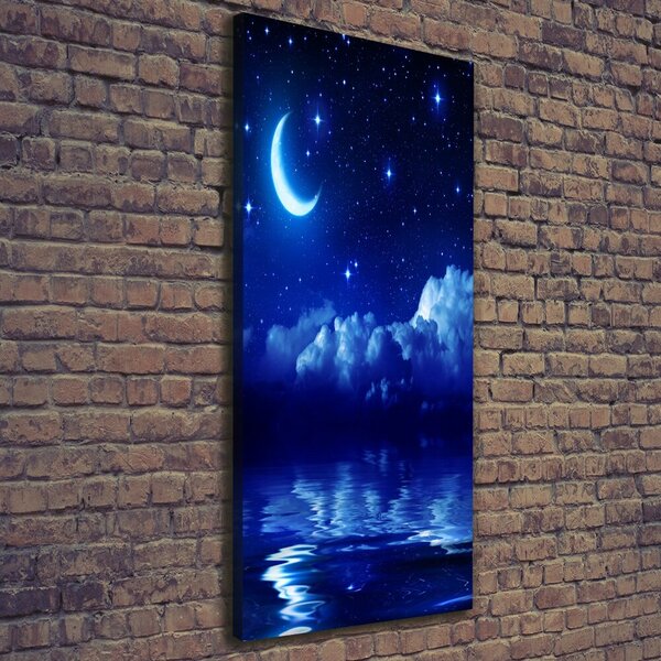 Tablou pe pânză canvas Cerul de noapte