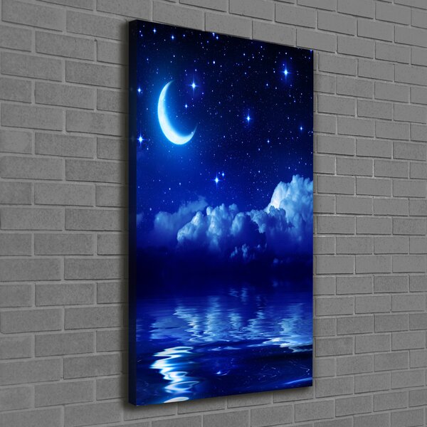 Tablou pe pânză canvas Cerul de noapte