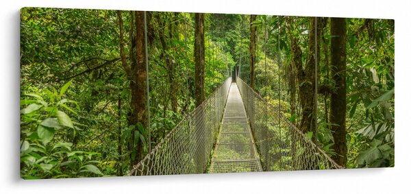 Tablou - Pod suspendat (120x50 cm)