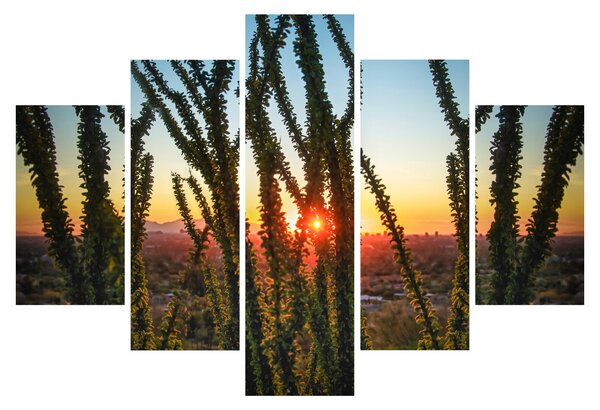 Tablou - Plante (150x105 cm)