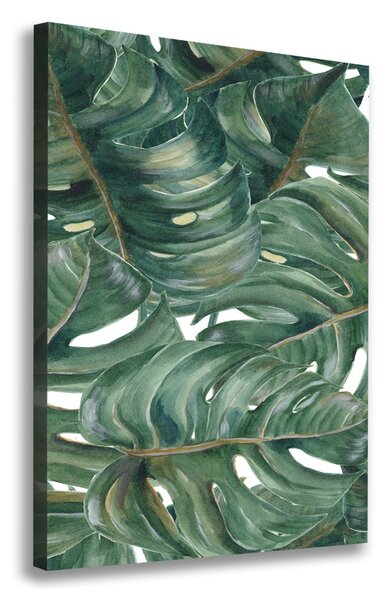 Tablou canvas Monstera